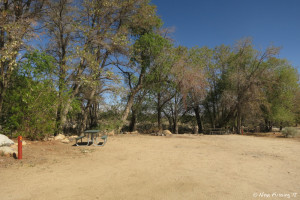 View of two sites right next to each other with no separation. Site #1 on left, #2 on right. We could fit, but not with someone next to us.