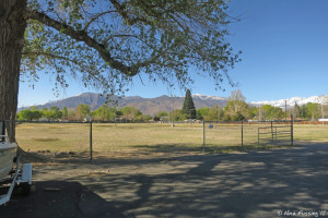 View of the HUGE doggie field area next to site #28