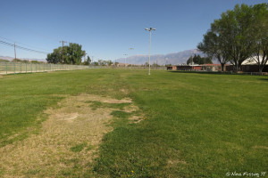 View of pasture where groups can camp. They will run-out electric here.