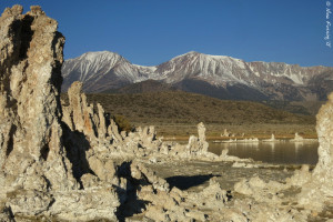 Cathedrals of white