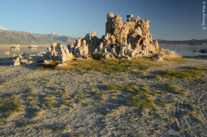 Magnificent Tufa's
