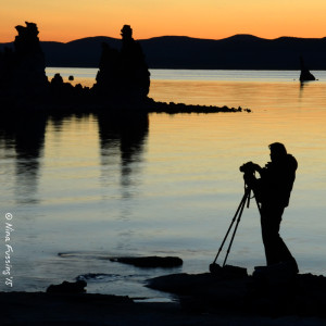 Photographer at work