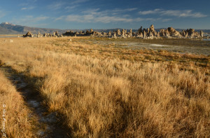 One of the many trails to the tufa's