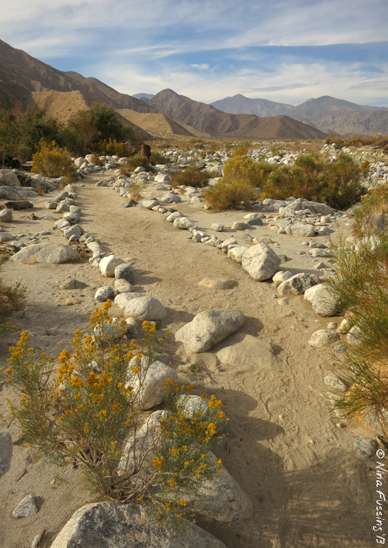 The trail at Whitewater Preserve Wheeling It Tales From a