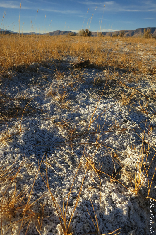 Hot Spring Salt Rocks Salt crystals by the hot springs – Wheeling It: Tales From a Nomadic Life